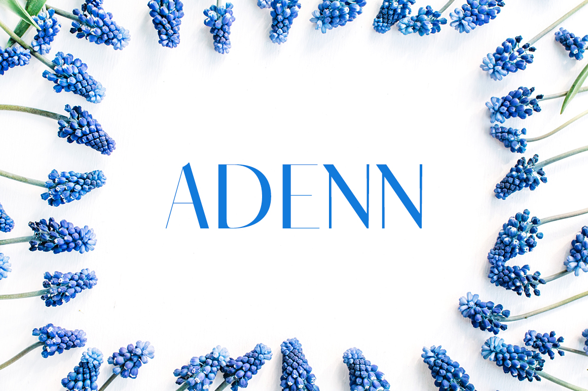 Adenn Typeface: A Simple Font That Elevates Your Brand