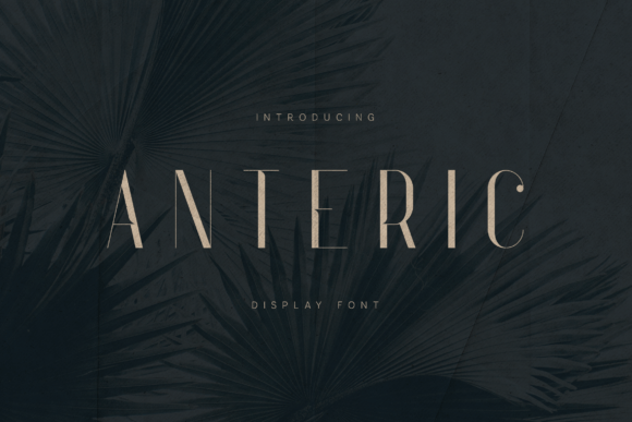 Anteric Font: A Designer’s Guide to Crafting Impactful Branding