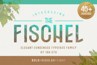 Fischel Family: A Practical Typeface Review
