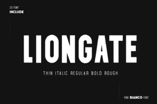 Liongate Typeface: A Modern Sans Serif for Digital Design