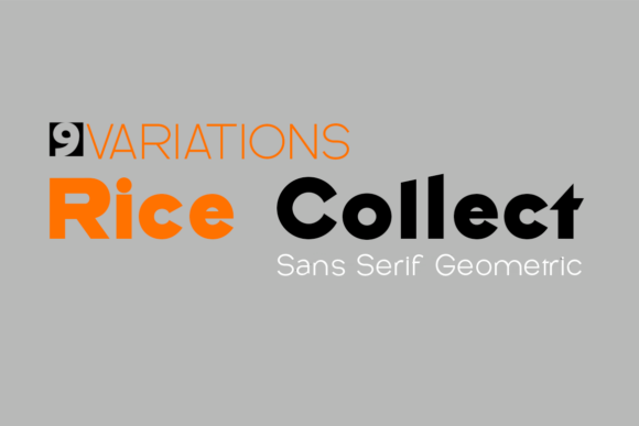 Rice Collect: A Premium Sans Serif Font for Small Business Branding