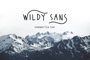 Wildy Sans: A Typeface That Elevates Your Brand